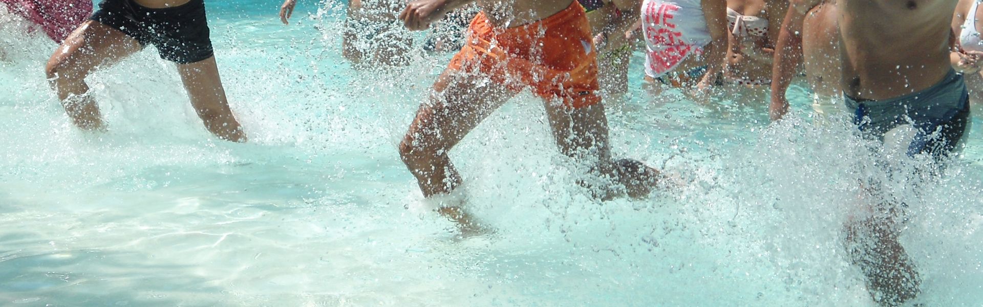 ADULTS ANIMATION MAIN